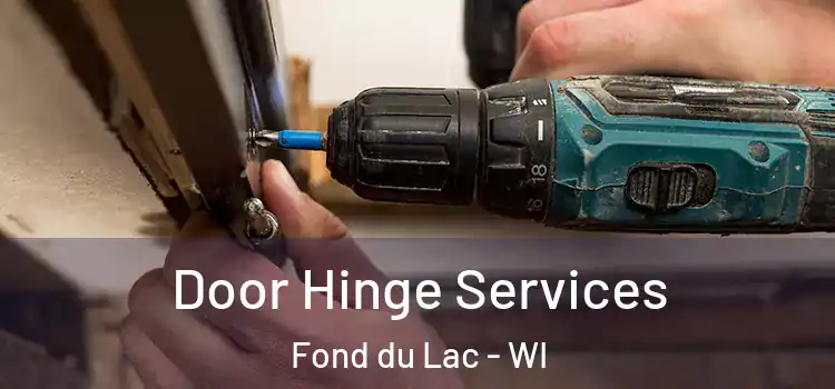 Door Hinge Services Fond du Lac - WI
